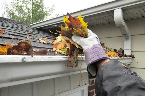 Leaf Gutter Cleaning in Navarre