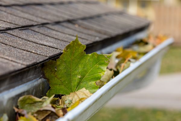 Gutter System Cleaning in Navarre