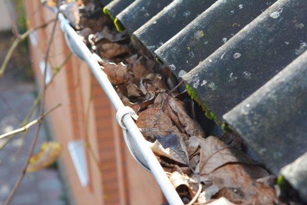 Home Gutter Cleaning in Navarre