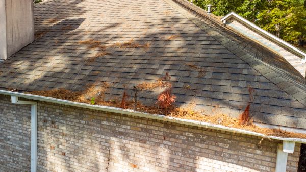 Cost of Gutter Pine Needle Removal in Navarre