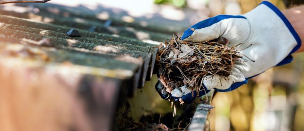 Pine Needle Gutter Cleaning in Navarre