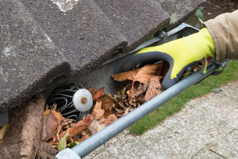 Gutter debris removal