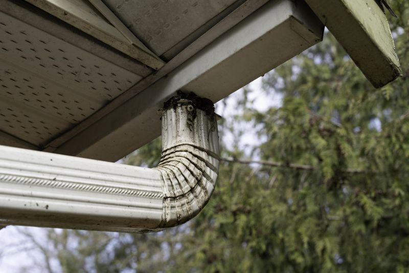 Downspout cleaning