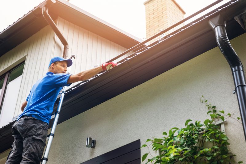 Ladder access for gutter cleaning