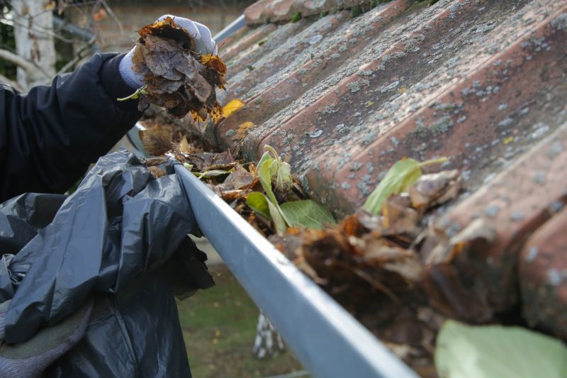 Professional Gutter Cleaning