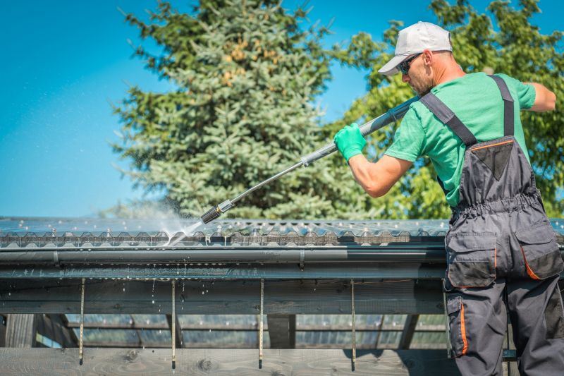Specialized Gutter Cleaning Companies